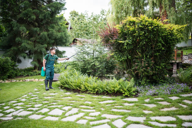 Best Residential Pest Control  in Mason City, IA