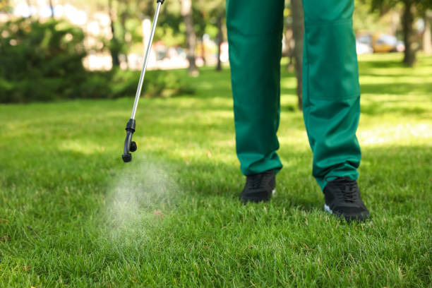 Best Bed Bug Extermination  in Mason City, IA