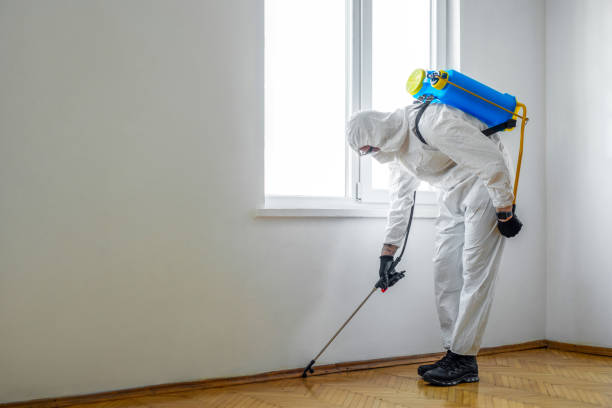 Best Mosquito Control Services  in Mason City, IA
