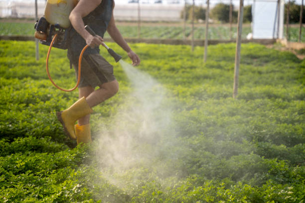 Best Best Pest Control Companies  in Mason City, IA