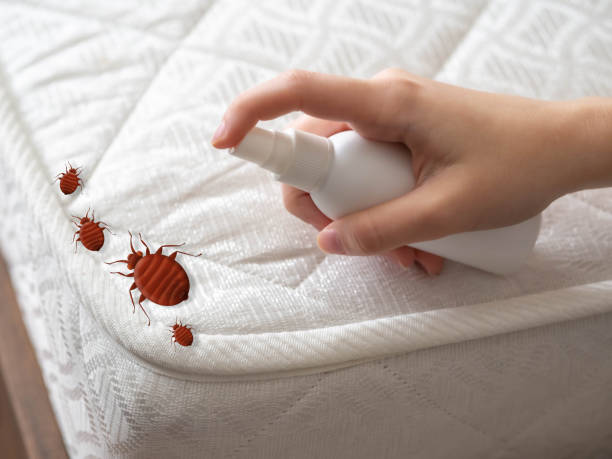  Mason City, IA Pest Control Pros