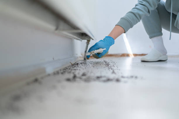 Best Cockroach Control Services  in Mason City, IA