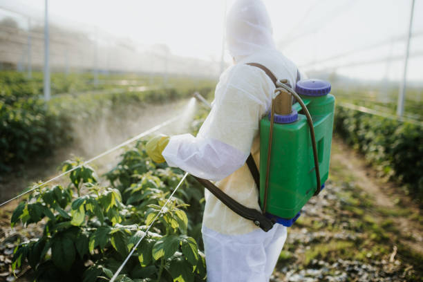 Best Ant Control Services  in Mason City, IA